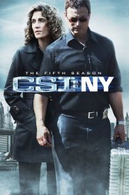 CSI: NY: Sezona 5