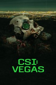 CSI: Vegas: Sezona 1