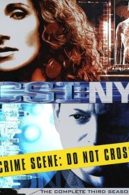 CSI: NY: Sezona 3