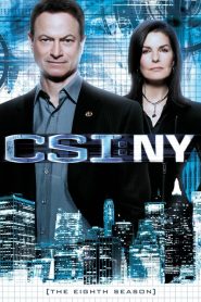 CSI: NY: Sezona 8