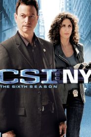 CSI: NY: Sezona 6