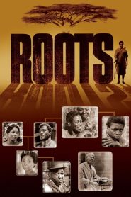 Roots: Sezona 1