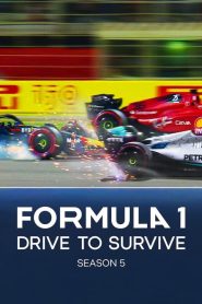 Formula 1: Drive to Survive: Sezona 5