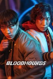 Bloodhounds: Sezona 1