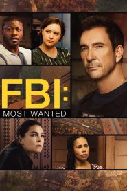 FBI: Most Wanted: Sezona 4