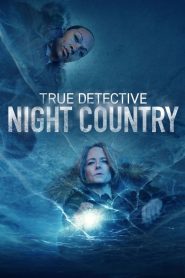 True Detective: Sezona 4