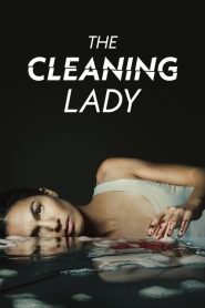 The Cleaning Lady: Sezona 3