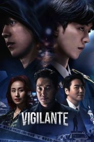 Vigilante: Sezona 1