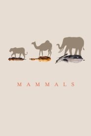 Mammals: Sezona 1