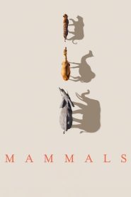 Mammals