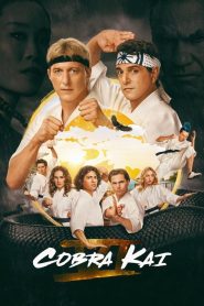 Cobra Kai: Sezona 6